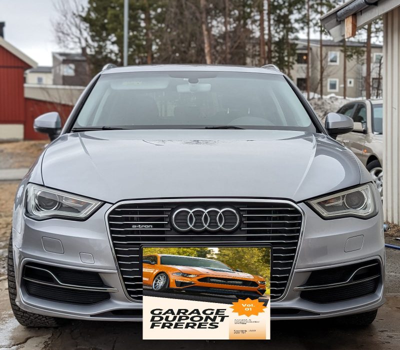 473_ea121848-520a-4d8b-83d3-000b8fd66017